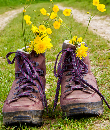 2 oude vieze bergschoenen met daarin bosjes paardenbloemen en boterbloemen